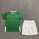 2024 Ireland Home Fans Version Kids Soccer Jersey