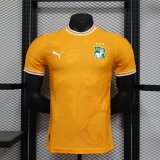24-25 Cote d'Ivoire Special Edition Players Version Soccer Jersey