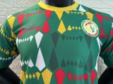 24-25 Senegal Green Special Edition Player Version Training Shirts