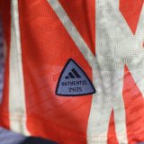 24-25 Bayern Special Edition Player Version Soccer Jersey