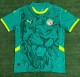 24-25 Senegal Away Fans Soccer Jersey