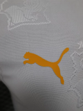 24-25 Cote d 'Ivoire Special Edition Player Version Soccer Jersey