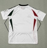 24-25 Legia Warszawa Home Fans Soccer Jersey