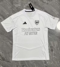 23-24 ARS Special Edition Fans Soccer Jersey