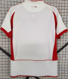 24-25 FC Köln Special Edition Fans Soccer Jersey