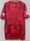 24-25 Kaiserslautern Home Fans Soccer Jersey
