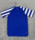 24-25 Porto Blue White Training shirts