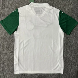 25-26 Palmeiras Away Fans Soccer Jersey