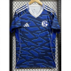 25-26 Schalke 04 Blue Special Edition Fans Soccer Jersey