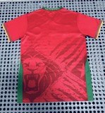 25-26 Cameroon Away Fans Soccer Jersey