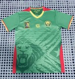 25-26 Cameroon Home Fans Soccer Jersey