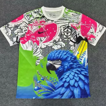 25-26 Brazil Pink Blue Special Edition Training shirts