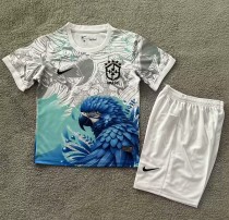 25-26 Brazil Special Edition Kids Soccer Jersey 25-26 Brazil Special Edition Kids Soccer Jersey