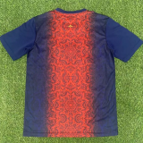 25-26 PSG Red blue Special Edition Training shirts