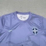 25-26 Brazil Grey Special Edition Training shirts