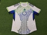 25-26 Algeria Player Version Training shirts