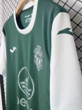 25-26 Hibernian FC Home Fans Soccer Jersey