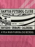 25-26 Santos FC Pink Special Edition Player Version Training Shirts