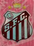 25-26 Santos FC Pink Special Edition Player Version Training Shirts