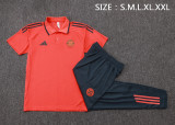 25-26 Bayern High Quality Polo Tracksuit