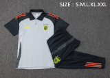 24-25 Benfica High Quality Polo Tracksuit