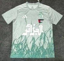 25-26 Algeria Grey Green Special Edition Fans Soccer Jersey