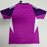 25-26 Italy Purple GoalKeeper Fans Soccer Jersey 1:1 Thai Quality