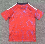 25-26 Costa Rica Home Fans Soccer Jersey