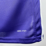 25-26 Lakers JAMES #23 Purple Top Quality Hot Pressing NBA Jersey (Trapeze Edition) 飞人版