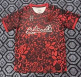25-26 Palestine Special Edition Fans Soccer Jersey