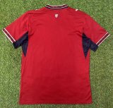 2026 CZECH Home Fans Soccer Jersey