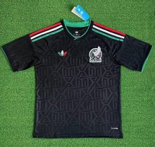 2026 Mexico Third Fans Soccer Jersey