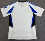 24-25 Hamburger Home Fans Soccer Jersey