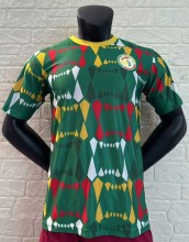 24-25 Senegal Green Special Edition Player Version Training Shirts