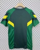 24-25 Celtic Special Edition Fans Soccer Jersey