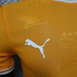 24-25 Cote d'Ivoire Special Edition Players Version Soccer Jersey