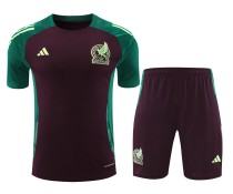 24-25 Mexico High Quality Training Short Suit 24-25 Mexico High Quality Training Short Suit