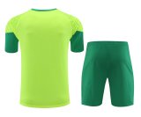 24-25 Palmeiras High Quality Training Short Suit