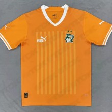 22-23 Cote d'Ivoire Yellow Fans Soccer Jersey