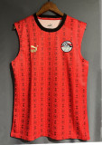 23-24 Egypt Home Fans Soccer Jersey