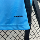 24-25 Burgos CF Third Fans Soccer Jersey