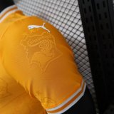 24-25 Cote d'Ivoire Special Edition Players Version Soccer Jersey