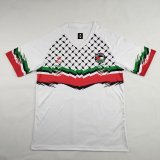 24-25 Palestine Fans Version Soccer Jersey