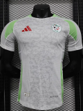 24-25 Algeria Home Player Version Soccer Jersey