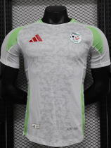 24-25 Algeria Home Player Version Soccer Jersey