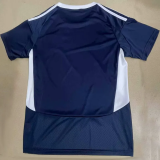 24-25 Bordeaux Home Fans Soccer Jersey