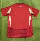 24-25 Al-Ahli Saudi Home Fans Soccer Jersey