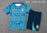 24-25 Brazil High Quality Training Short Suit