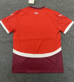 2024 Switzerland European Cup Home Fans Version Soccer Jersey