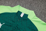 24-25 Palmeiras High Quality Half Pull Tracksuit